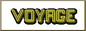 Life Voyage Pages